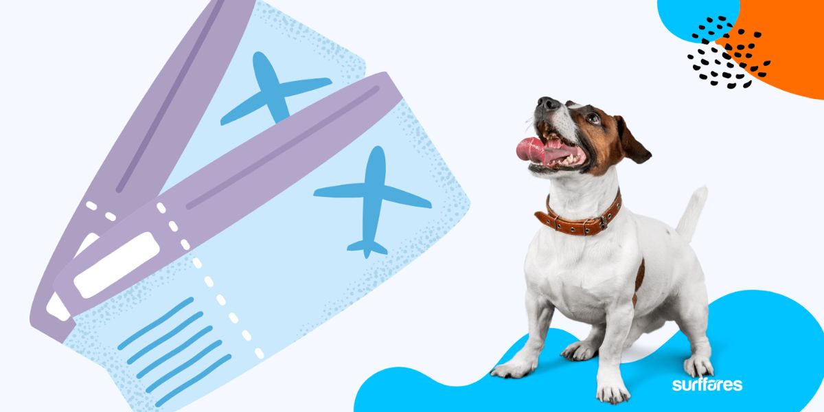 Air India Pet Policy